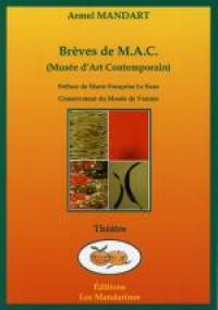 Brèves au M.A.C. (musée d'art contemporain)