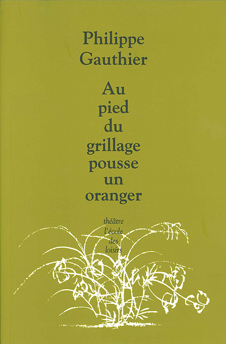 au-pied-du-grillage-pousse-un-oranger