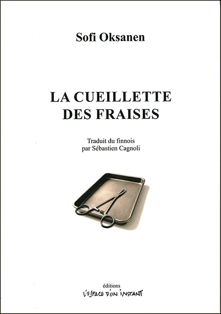 la-cueillettes-de-fraises